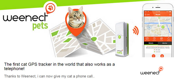 Weenect Cats